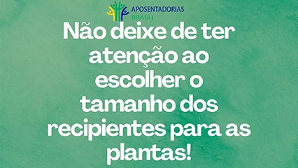 Atenção ao escolher os recipientes