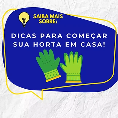 Dicas para começar sua horta em casa